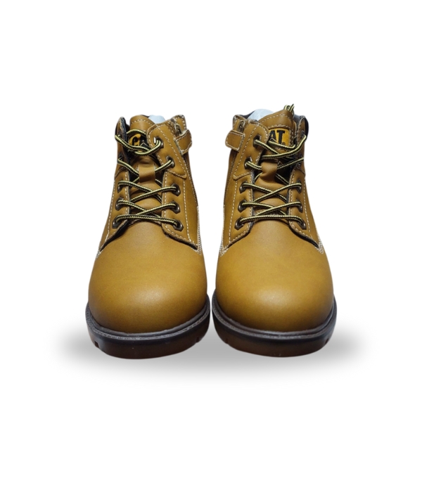 CAT COLARADO TAN 34